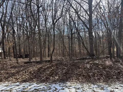 374 Bonnie Ct, Varna, IL 61375