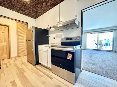 Kitchen - 880 Old Willow Rd #282, Prospect Heights, IL 60070 photo 1 of 5