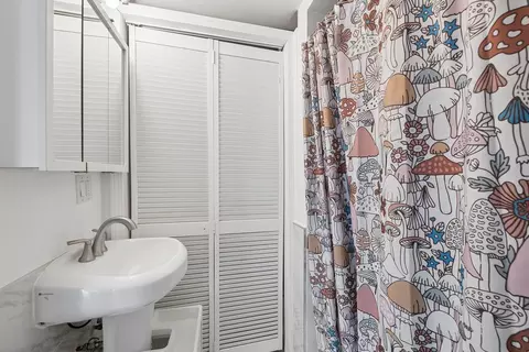 Bath - 191 Ashland Ave, Des Plaines, IL 60016 photo 3 of 4