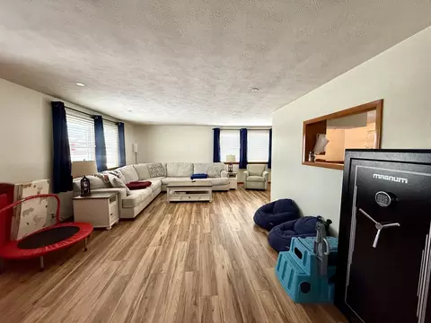 Living - 804 S Victor St, Christopher, IL 62822 photo 4 of 4