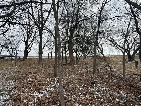 11-45 Woodhaven Lks, Sublette, IL 61367