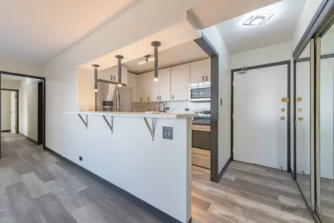Kitchen - 7337 S South Shore Dr #902, Chicago, IL 60649 photo 3 of 4