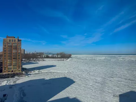 View/Area - 7337 S South Shore Dr #902, Chicago, IL 60649 photo 3 of 4