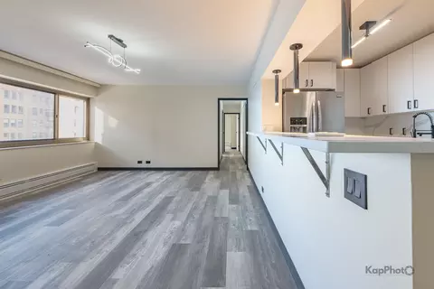 Living - 7337 S South Shore Dr #902, Chicago, IL 60649 photo 6 of 8