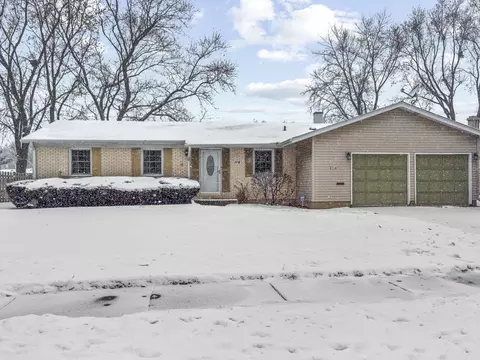 114 S Arlene Ave, Palatine, IL 60074