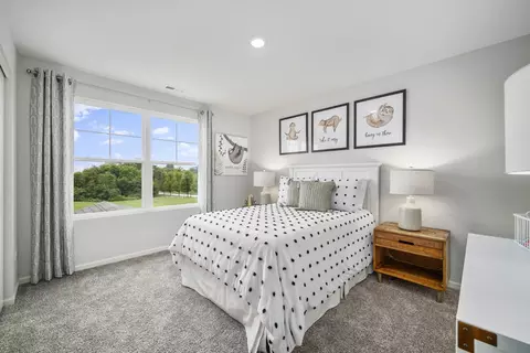 Bedroom - 1211 Tiger Lily Dr, Bartlett, IL 60103 photo 4 of 5