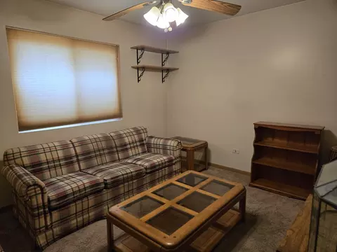 Other - 3117 Carpenter St, Steger, IL 60475 photo 1 of 6