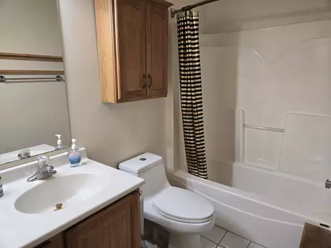 Bath - 3117 Carpenter St, Steger, IL 60475 photo 2 of 2