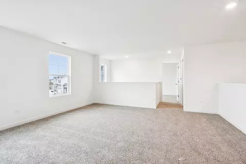 Other - 1231 Wildflower Ln, Bartlett, IL 60103 photo 6 of 9