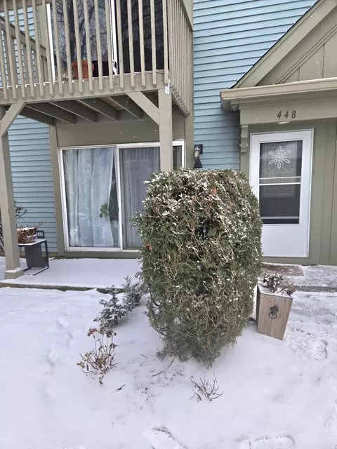 448 Bridle Trl #448, Wheeling, IL 60090