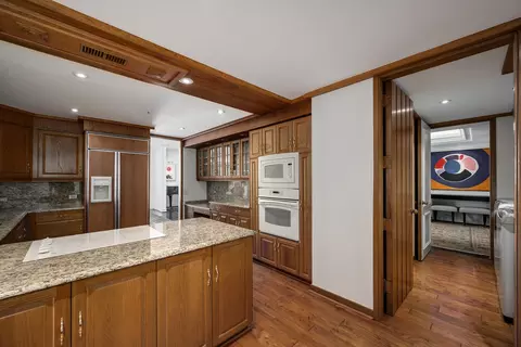180 E Pearson St #6802, Chicago, IL 60611 photo 17