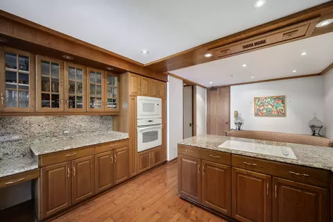 180 E Pearson St #6802, Chicago, IL 60611 photo 18