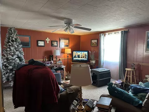 Living - 16319 Ideal Rd, Thomson, IL 61285 photo 2 of 3