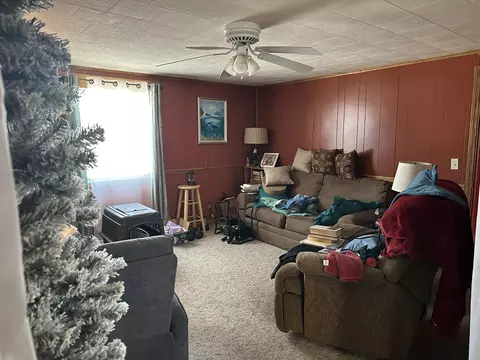 Living - 16319 Ideal Rd, Thomson, IL 61285 photo 3 of 3