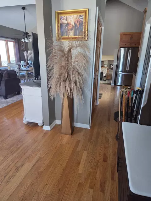 Entry Way - 3617 Peoria St, Steger, IL 60475 photo 1 of 4