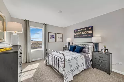Bedroom - 1242 Tiger Lily Dr, Bartlett, IL 60103 photo 6 of 6