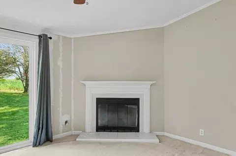 Living - 14 Cherry Ct, Ogden, IL 61859 photo 8 of 9