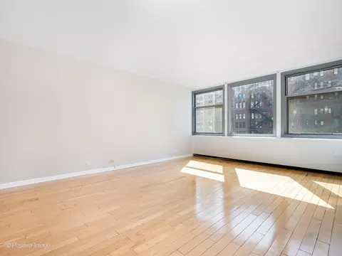 Living - 30 Elm St #14E, Chicago, IL 60611 photo 3 of 6