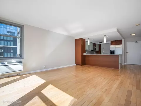 Living - 30 Elm St #14E, Chicago, IL 60611 photo 5 of 6