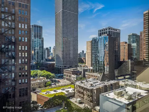 View/Area - 30 Elm St #14E, Chicago, IL 60611 photo 2 of 3