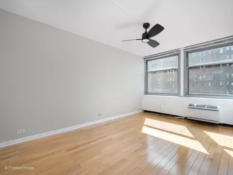 Living - 30 Elm St #14E, Chicago, IL 60611 photo 6 of 6