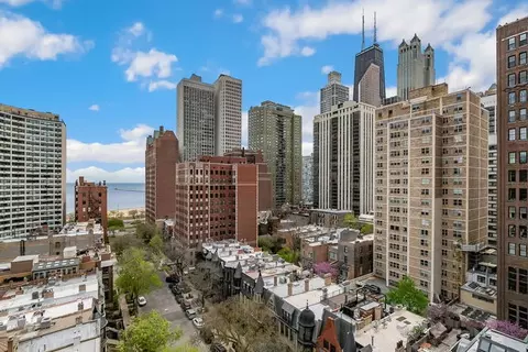 View/Area - 30 Elm St #14E, Chicago, IL 60611 photo 3 of 3