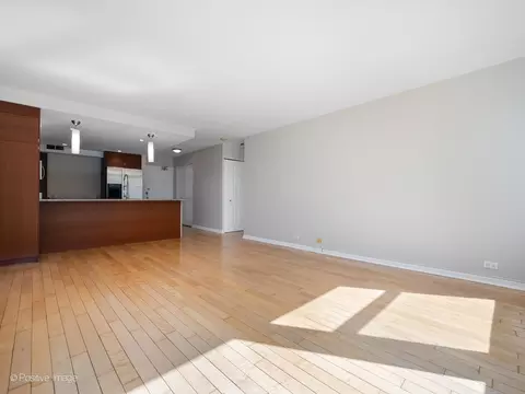 Living - 30 Elm St #14E, Chicago, IL 60611 photo 4 of 6
