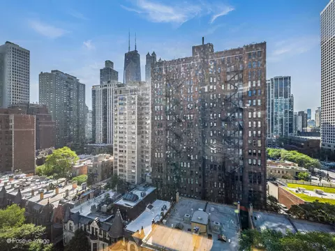 View/Area - 30 Elm St #14E, Chicago, IL 60611 photo 1 of 3