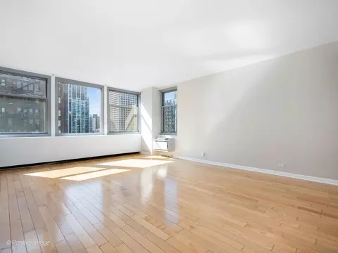 Living - 30 Elm St #14E, Chicago, IL 60611 photo 2 of 6