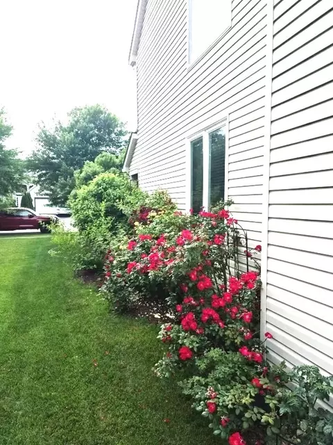 1616 Stanton Ln, Plainfield, IL 60586 photo 27