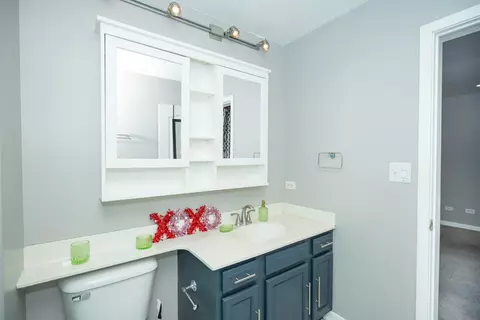 Bath - 25902 Derby Dr, Monee, IL 60449 photo 3 of 4