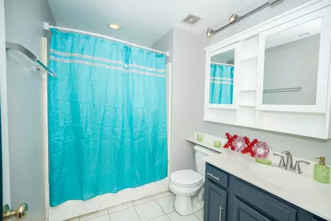Bath - 25902 Derby Dr, Monee, IL 60449 photo 2 of 4