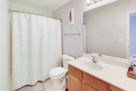 Bath - 1605 Cascade Ridge Dr, Plainfield, IL 60586 photo 4 of 4