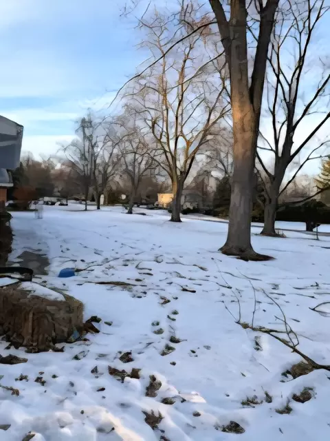 Exterior - 13 Charlton Dr, Kankakee, IL 60901 photo 2 of 4