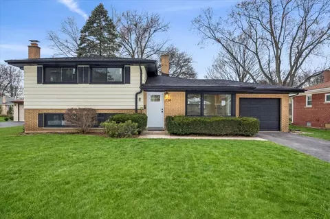 730 N Wilshire Ln, Arlington Heights, IL 60004