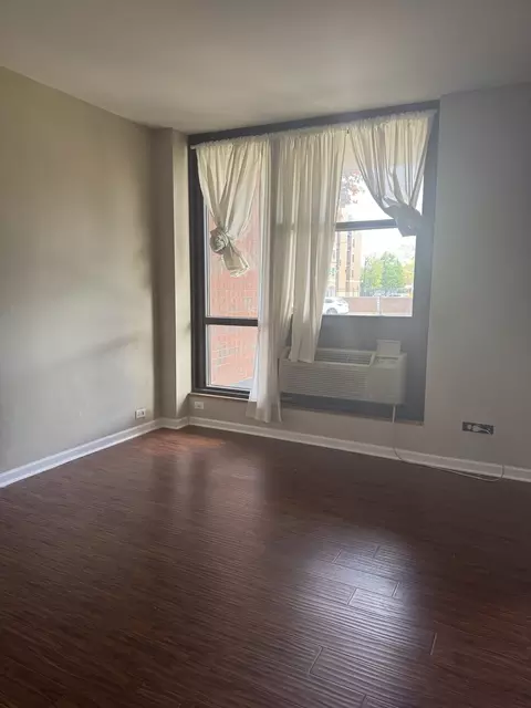 Living - 3041 S Michigan Ave #106, Chicago, IL 60616 photo 7 of 9