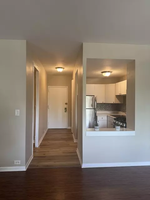 Entry Way - 3041 S Michigan Ave #106, Chicago, IL 60616 photo 1 of 2