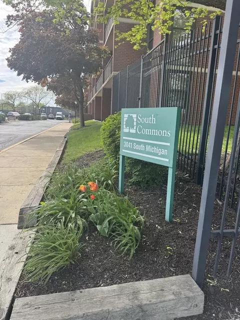 View/Area - 3041 S Michigan Ave #106, Chicago, IL 60616 photo 1 of 1
