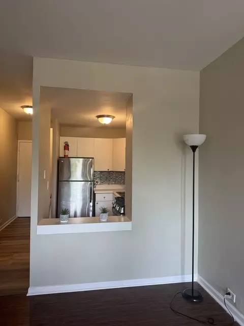 Other - 3041 S Michigan Ave #106, Chicago, IL 60616 photo 3 of 4