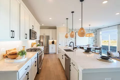 Kitchen - 25503 W Emory Ln, Plainfield, IL 60544 photo 9 of 9