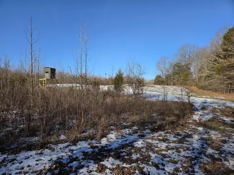1395 Rock Springs Rd, Simpson, IL 62985