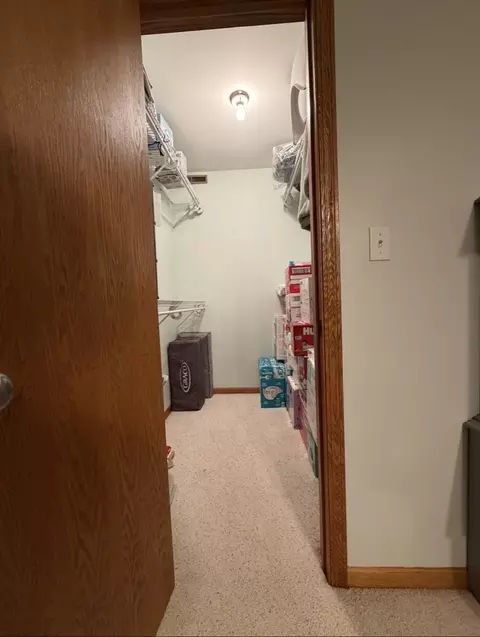 Other - 5009 Whispering Pine Cir, Thomson, IL 61285 photo 5 of 10