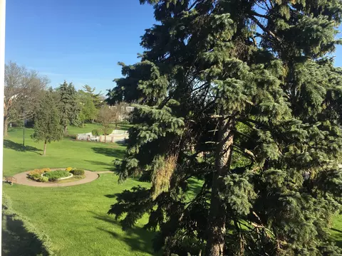 Other - 5000 Carriageway Dr #315, Rolling Meadows, IL 60008 photo 2 of 4