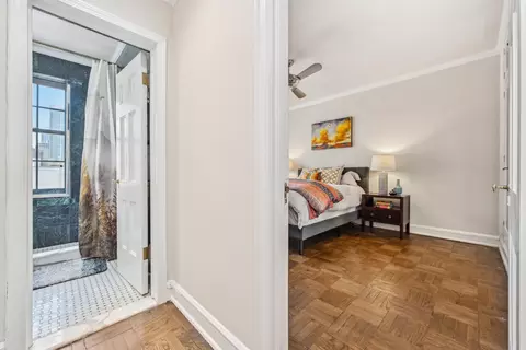 Entry Way - 73 Elm St #12D, Chicago, IL 60611 photo 7 of 8