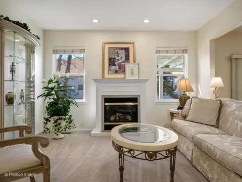 Living - 21344 W Juniper Ln, Plainfield, IL 60544 photo 2 of 5
