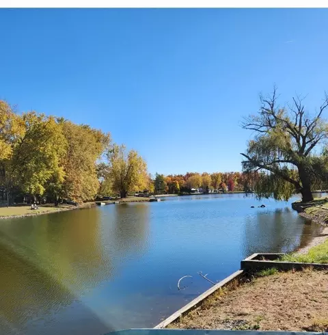 5 420 Woodhaven, Sublette, IL 61367