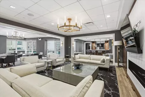 Living - 57 E Delaware Pl #3904, Chicago, IL 60611 photo 5 of 5