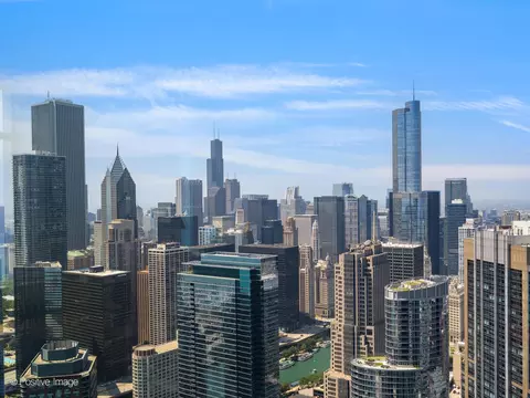 View/Area - Undisclosed, Chicago, IL 60611 photo 10 of 11