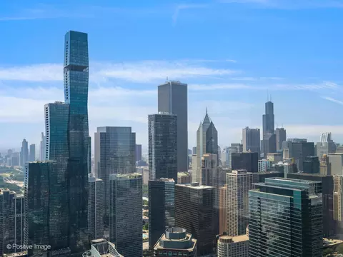 View/Area - Undisclosed, Chicago, IL 60611 photo 11 of 11