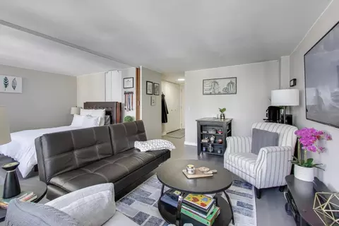 Living - Undisclosed, Chicago, IL 60601 photo 2 of 5